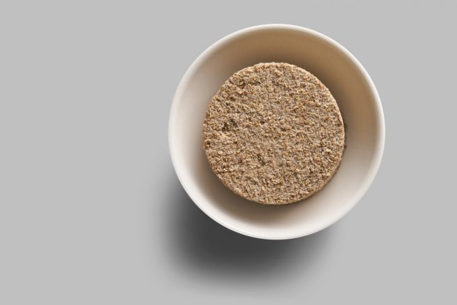 Textured Insect Protein (TIP)